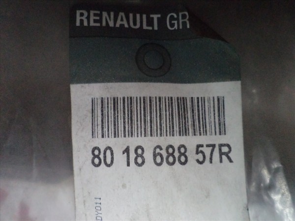 Renault Clio4 Sağ Ön Kapı Bandı 801868857R YP (GF-120)