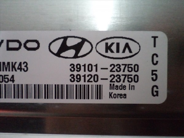 Hyundai Coupe Elektronik Kontrol Ünitesi ECU 39101-23754 39120-23750 5WY1689A YP (İB-123)