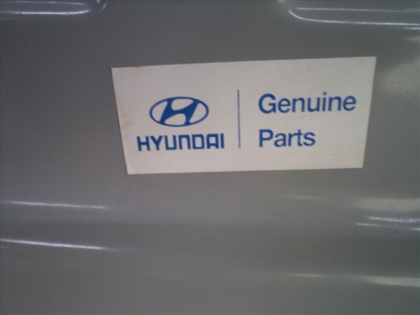 Hyundai Elantra Sağ Ön Kapı Orjinal Sıfır 7600429510 YP (IC-110)