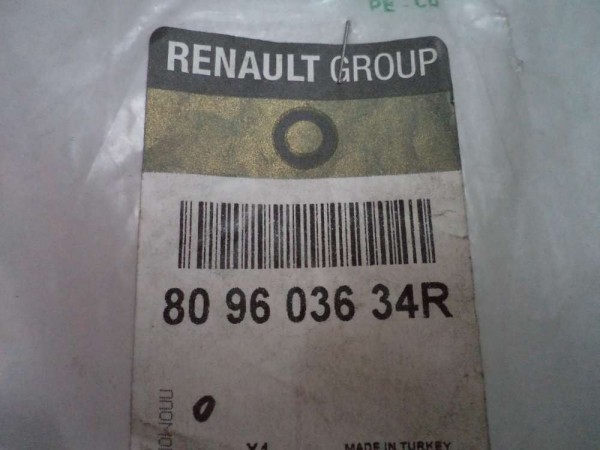 Renault Clio 4 Ön Cam Düğme Çerçevesi Orj 809603634 YP