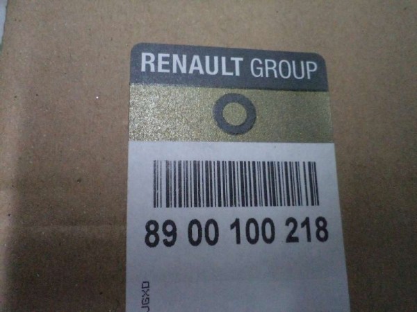 Renault Master Krom Sis Farı Çerçevesi Orj 8900100218 YP (AA140)